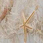 Barcarola باغ